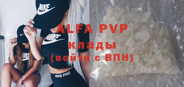гидра Вяземский