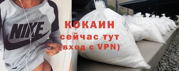 мдпв Богородск