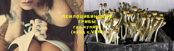 СК Болхов