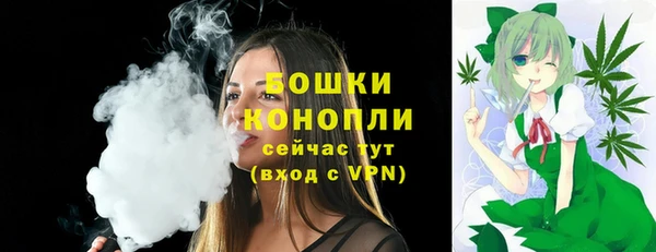 гидра Вяземский