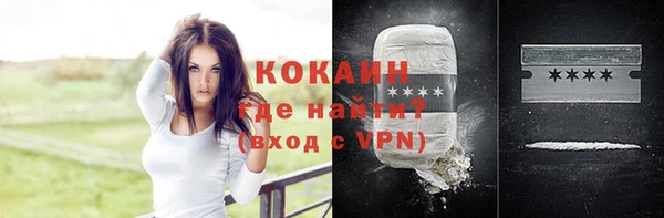 гидра Вяземский