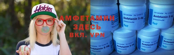 гидра Вяземский