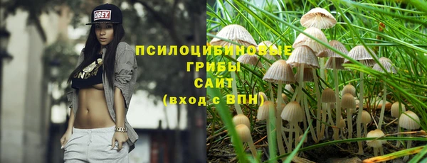 ГАЛЛЮЦИНОГЕННЫЕ ГРИБЫ Вязники