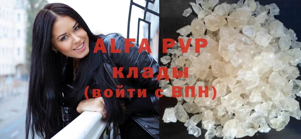 ГАЛЛЮЦИНОГЕННЫЕ ГРИБЫ Вязники