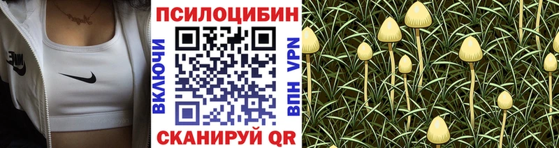 Галлюциногенные грибы ЛСД  кракен рабочий сайт  Игарка  купить наркотик 